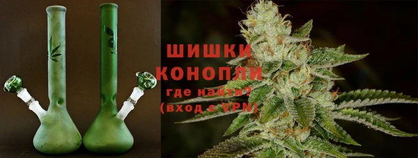 соль ск Гусь-Хрустальный