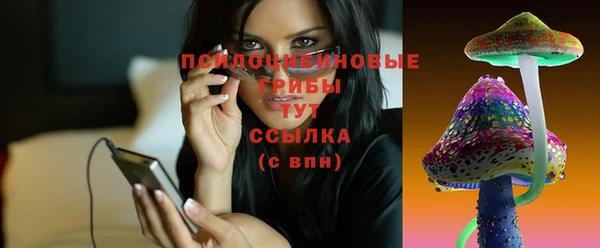 Альфа ПВП Гусиноозёрск