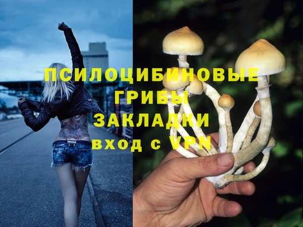 Альфа ПВП Гусиноозёрск