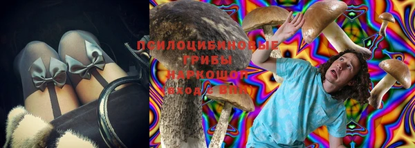соль ск Гусь-Хрустальный