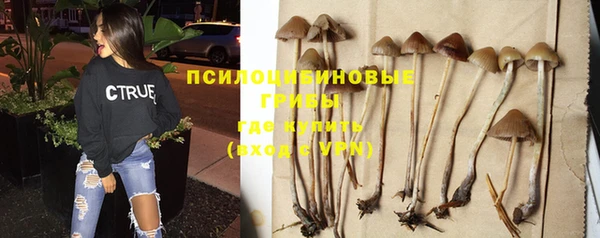 Альфа ПВП Гусиноозёрск
