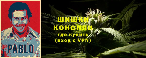 соль ск Гусь-Хрустальный